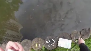 Pontoon 21 ZanyZag 100, TsuYoki CHREK 95F, Fishycat Popcat 85F