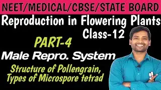 Microspore tetrad | Pollen grain tetrad | Types of microspore tetrad