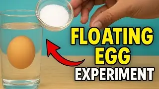 &ldquo;Floating Egg Experiment 🥚 | Magic of Salt Water | #FloatingEgg #ScienceShorts
