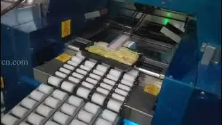 Vegetable packaging line food wrapping machine LTW550 with label applicator