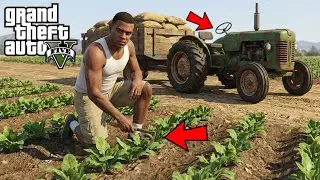 Franklin Become A Farmer In GTA 5 !