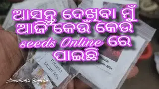 Online seasonal flower seeds shopping 🛍️ #shopping #video #seasonal #floweringplant #garden