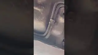 80 TransAm Barnfind