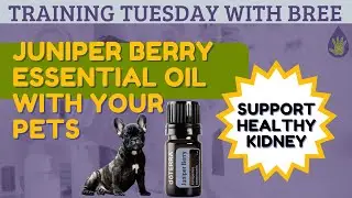 How to use Juniper Berry Essential Oil with Your Pets