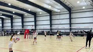 Sting 11 White VS WI Premier 12
