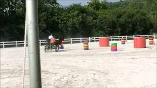 Orleton Farm Super Derby SBS Risky Business edited