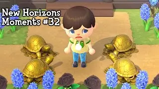 New Horizons Moments #32 (Animal Crossing)