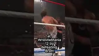When Shawn Michaels finally became wwf champion