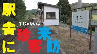 秘境駅　電車の旅　無人駅　特牛駅（山口県下関市）