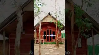 Explore Digha like never before #travelvlog #offbeat #beachvibes #beach #digha  #nature #cottage