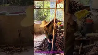 Traditional Bark Stripping: Easy Way to Remove Tree Bark for Rural Craft Materials