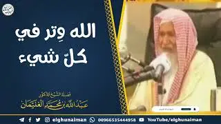 الله وتر في كل شيء
