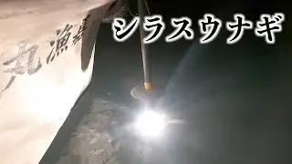 【シラスウナギ】漁師のボーナス白いダイヤ！シラスウナギ漁！