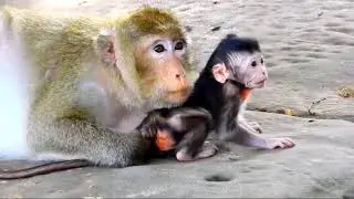 skilled monkey child