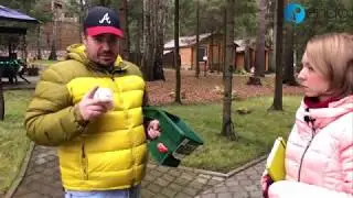 Обзор по удобрениям для газона. Рекомендации по  внесению