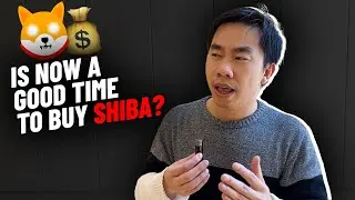 IS NOW A GOOD TIME TO BUY SHIBA INU? (MUST WATCH)