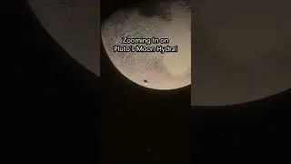 Zooming In on Hydra