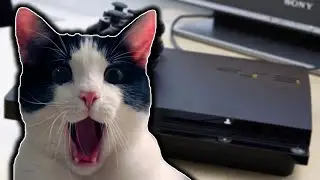 Реакция котов на PlayStation 3 | Cat's reaction on Playstation 3