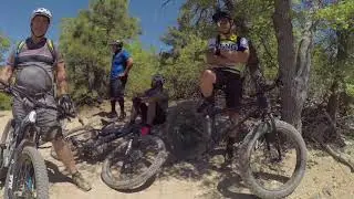 Rim Nordic Mountain Biking