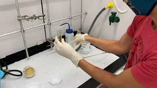 Luminol Lab