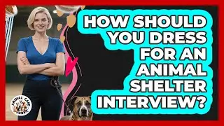 How Should You Dress For An Animal Shelter Interview?