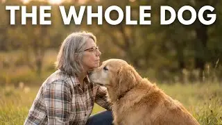 There&rsquo;s No Quick Fix: Understanding Your Whole Dog