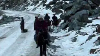 PEHALGUM.MOV