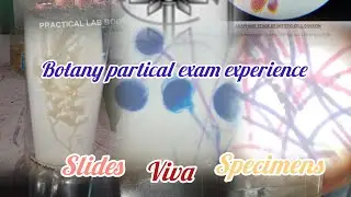 Plus two Botany practical exam experience/ tip for full mark 📉‼️💖