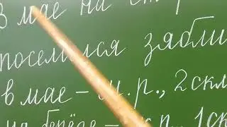 Задание из ВПР русский язык,4 класс
