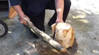 Esee 6 test