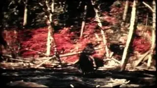 M.K.Davis asks Who filmed Roger Patterson?.mp4