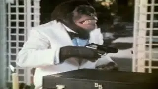 1980 PG Tips Chimps Brooke Bond  Advert No 3