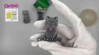 紙袋に入った猫ガチャ
