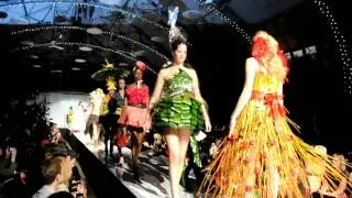 2011-Garfield-Park-Fleurotica-Part-02-OakParkJournal-SJC.AVI