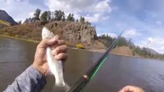 Fall Fly FIshing South West Colorado