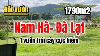 (Đã bán) Đất vườn| Một vườn trái cây đủ loại tại Lâm Đồng, cách Đà Lạt chỉ 30km, giá hơn 1 tỷ