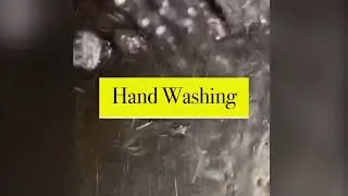 Prophetic Dream Meaning: washing your hands.
