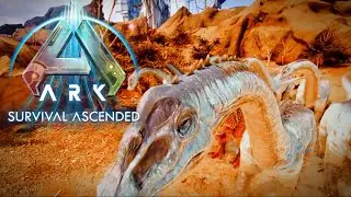 Can Brontos Do ODS's in Ark Survival Ascended