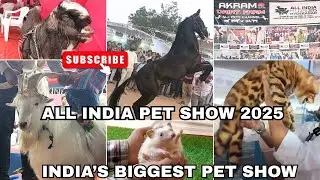 All India Pet Expo 2025 Hyderabad || India's Biggest Pet Show|| Akram Dairy Farm #exotic#pets #viral
