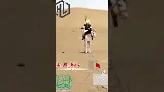 musayyab