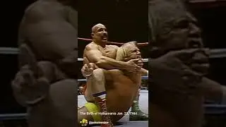 Hulkamania is born Jan 23, 1984