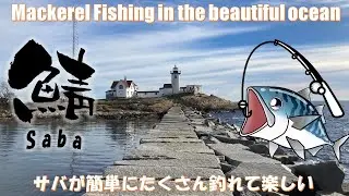 Супер весело!! Ловля скумбрии в Глостере, Массачусетс