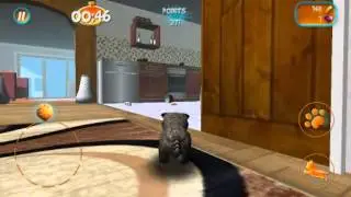 Cat Simulator #1 Micro-ondas DETONADO!!