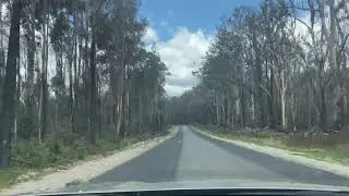 Australian Bushfire recovery