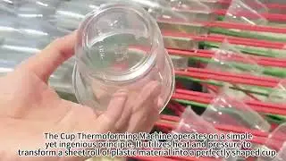 Disposable plastic cup production line