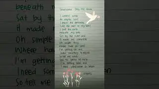 Somewhere Only We Know Lyrics &ndash; Keane Gustixa | Timeless Romantic Song | Feel the Memories