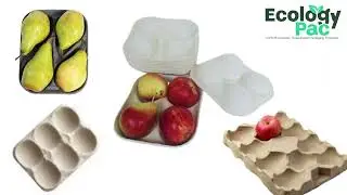 Eco Friendly Cup Apple Tray for Fruit Pulp Mold Tray