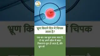 भ्रूण कितने दिन में चिपक जाता है? Best IVF Hospital in Kanpur
