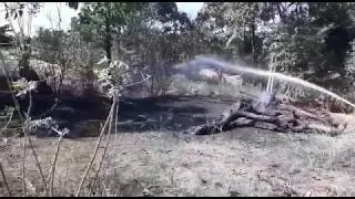 Fire near Maani, Bantwal Talujk