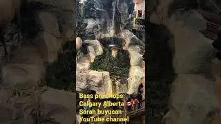 Best shopping mall in Calgary/bass pro shops
